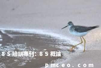 8S培訓專刊：8S概論