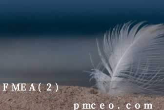 FMEA(2)