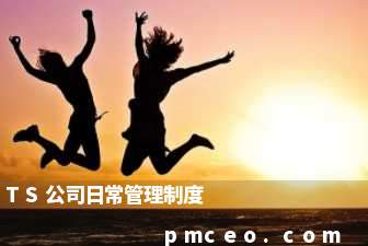 TS公司日常管理制度