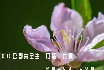 XC公司安全生產月活動方案