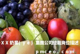 XX奶業(yè)集團公司總裁崗位描述