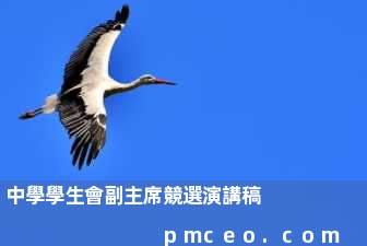 中學學生會副主席競選演講稿