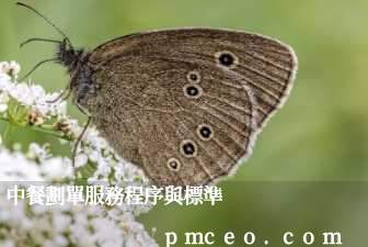 中餐劃單服務程序與標準