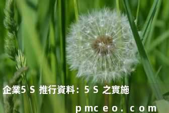 企業5S推行資料：5S之實施