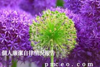 個人廉潔自律情況報告