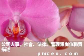 公司人事、社會、法律、管理類崗位職責描述