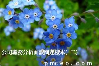 公司職務分析面談問題樣本(二)