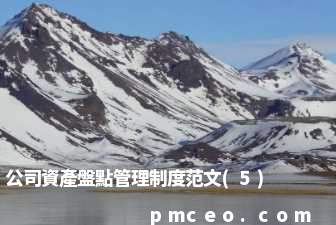 公司資產盤點管理制度范文(5)