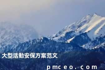 大型活動安保方案范文