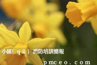 小區(qū)消防培訓簡報
