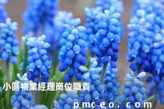 小區物業經理崗位職責