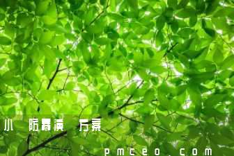 小區防暴演練方案