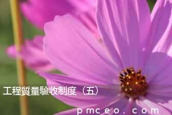 工程質量驗收制度（五）