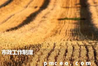 市政工作制度