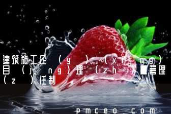 建筑施工企業(yè)項(xiàng)目經(jīng)理質(zhì)量管理責(zé)任制