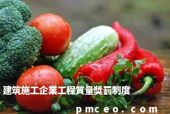建筑施工企業工程質量獎罰制度