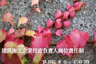 建筑施工企業技術負責人崗位責任制