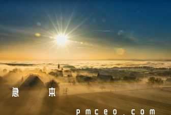 應急計劃樣本