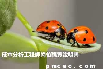 成本分析工程師崗位職責說明書