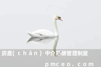 房產(chǎn)中介薪酬管理制度