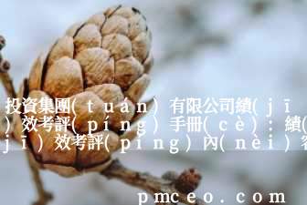 投資集團(tuán)有限公司績(jī)效考評(píng)手冊(cè):績(jī)效考評(píng)內(nèi)容