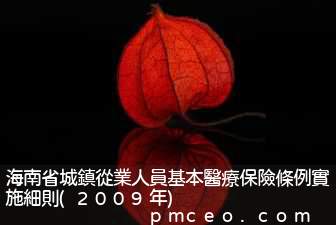海南省城鎮從業人員基本醫療保險條例實施細則(2009年)