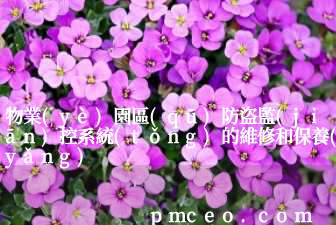 物業(yè)園區(qū)防盜監(jiān)控系統(tǒng)的維修和保養(yǎng)