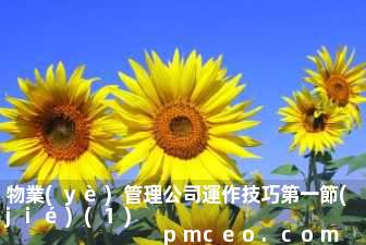 物業(yè)管理公司運作技巧第一節(jié)(1)
