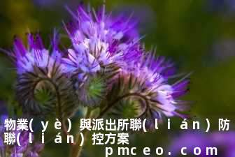 物業(yè)與派出所聯(lián)防聯(lián)控方案