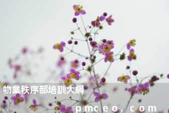 物業秩序部培訓大綱