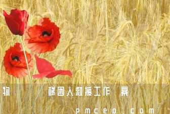 物業轄區電梯困人救援工作預案