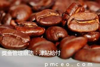 獎金管理辦法：津貼給付