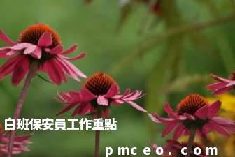 白班保安員工作重點