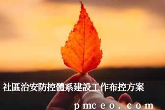 社區治安防控體系建設工作布控方案