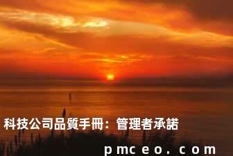 科技公司品質手冊：管理者承諾