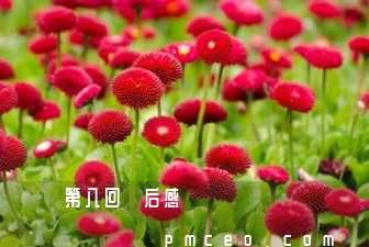 紅樓夢第八回讀后感