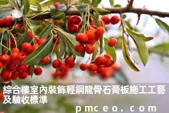綜合樓室內裝飾輕鋼龍骨石膏板施工工藝及驗收標準