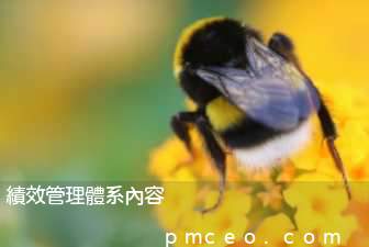 績效管理體系內容