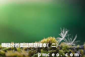職務分析面談問題樣本(二)