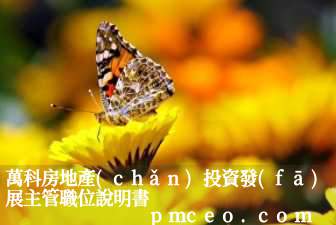 萬科房地產(chǎn)投資發(fā)展主管職位說明書