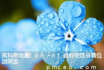 萬科房地產(chǎn)資料管理員職位說明書