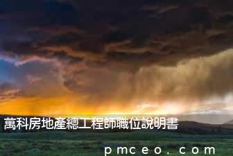 萬科房地產總工程師職位說明書