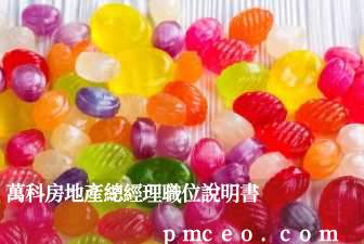 萬科房地產總經理職位說明書