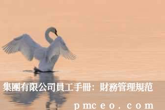 集團有限公司員工手冊：財務管理規范
