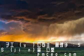 電子工業(yè)公司生產管理手冊:5S監(jiān)查辦公室