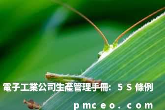 電子工業公司生產管理手冊:5S條例