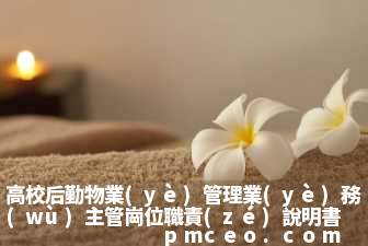高校后勤物業(yè)管理業(yè)務(wù)主管崗位職責(zé)說明書