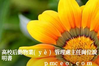 高校后勤物業(yè)管理處主任崗位說明書